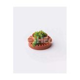 Maket Çift Katlı Saksı 1-75 Ölçek 2'Li