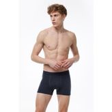 Malabadi Erkek Füme Modal Boxer M014