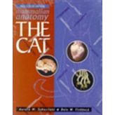 Mammalian Anatomy Guide: Cat - A Dissection and Atlas