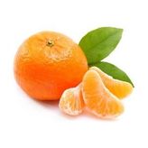 Mandalina Satsuma İzmir kg