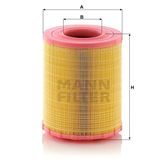 Mann C29010 Hava Filtresi