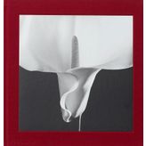 Mapplethorpe Flora : The Complete Flowers - Kolektif
