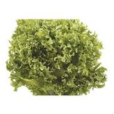 Marul Arapsaçı Kıvırcık Tohumu (10 Gr)