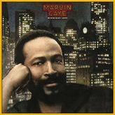 Marvin Gaye - Midnight Love – Plak