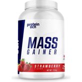 Mass Gaıner - Çilek - 2.5kg - 25 Servis