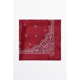 Massimo Dutti Paisley desenli fular