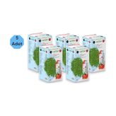 Matcha Çayı 5 x 20'li
