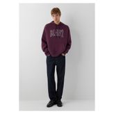 Mavi Logo Baskılı Kapüşonlu Mor Sweatshirt 067149-70434