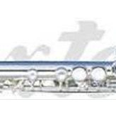 Maxtone TF48ES Flüt E Silver Wcase Aksesuar