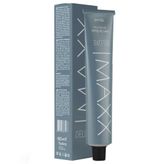 Maxx Deluxe 60 ml Platinyum Tüp Boya