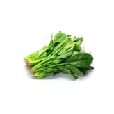 Mbb E-Ticaret Ispanak Tohumu 25 Gr