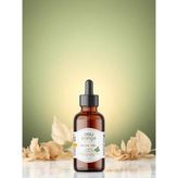Melisa Yağı 10ML - 10 ml