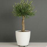 Melkan Home Beyaz Tekerlekli Saksı 48 Litre Yuvarlak Modern Plastik 45x40 cm Geniş Hacimli