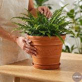 Melkan Home Kahverengi Küçük Boy Antik Papatya Desenli Saksı 3 Litre Yuvarlak Plastik 17 cm Modern