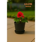 Melkan Home Modern Begonya Saksı 2,2 Litre Tabaklı Çiçek Saksısı – İç ve Dış Mekana Uygun 16x15 cm