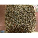 Memişoğlu Baharat 250 gr Ispanak Tohumu