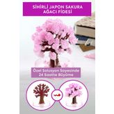 MERCANCO Sihirli Japon Sakura Ağacı