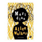 Meridian - Alice Walker