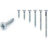 Meridyen 4x20 mm 50 Adet Sunta Vidası