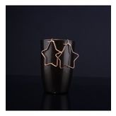 Metal Yıldız Küpe