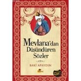 MEVLANADAN DÜŞÜNDÜREN SÖZLER - BAKI APAYDIN