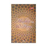 MEVLANA'NIN 40 MESAJI - ARIF KONYALI