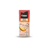 Mey İthalat Kutu, Şeftali Nektarı Karton 27X200 ml
