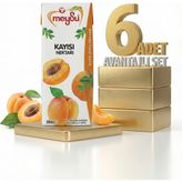 Meysu Kayısı Nektar 6x200 ml.