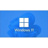 Microsoft Esd FQC-10572 Windows 11 Pro 32/64bıt Tr/Eng Lisans