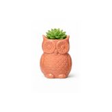 Mıknatıslı Mini Baykuş Saksı, Pembe