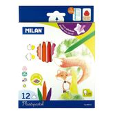Milan 80013 12'li Plastik Pastel Boya