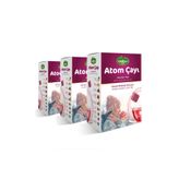 Mindivan Atom Küp Şeklinde Kış Çayı X 3 Adet