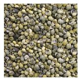 Mini Mongo Shell Kiloluk Deniz Kabuğu (1 KG)