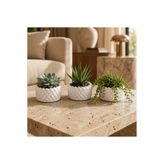 MİREVA 3'lü Örgü Desenli Mini Saksı Seti – Modern Dekoratif Minimalist Skulent ve Kaktüs Saksı Seti