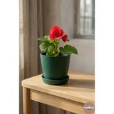 Modern Begonya Saksı 2,2 Litre Tabaklı Çiçek Saksısı – Iç ve Dış Mekana Uygun 16X15 cm