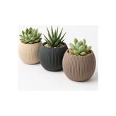 Modern Dekoratif Bitki Saksı Seti, 3 Adet, 0,70 Litre, Çok Renkli, Plastik, Yuvarlak - Standart
