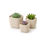 Modern Kare 3 L Bej Sukulent ve Kaktüs Çiçek ve Bitki Saksı Seti, 3 Adet - Standart - Çok Renkli