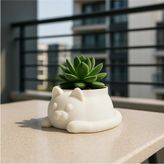 Modern Kedi Figür Sukulent Saksısı