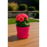 Modern Küçük Begonya Saksı 1,5 Litre Tabaklı Çiçek Saksısı – Iç ve Dış Mekana Uygun 14X13 cm
