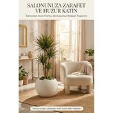 Modern Küre Formlu Dekoratif Saksı İç Mekan Salon Saksısı 20 Cm