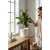 Modern Plastik Saksı