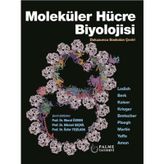 Molekuler Hucre Bıyolojısı (Lodısh) (Palme)