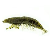 Molix Shrimp 2.5"+jig Head 4gr Green Pumpkin