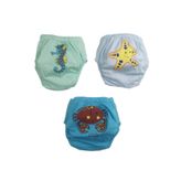 Momslab Erkek Bebek Alıştırma Külodu 3'lü
