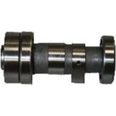 MONDİAL EKSANTRİK MİLİ CUP 100 KH DELTAFORCE