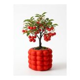 mora store Dekoratif Bubble Beton Kırmızı Saksı İskandinav Tarz Modern Saksı 14,5x12 cm