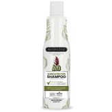 Morfose Kinoa Protein 500 ml Şampuan