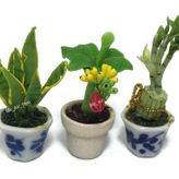 Mr_air_thai_Miniature Cactus and Flower 3 adet Minyatür Çiçek Kil Bebek Evi Peri Bahçesi Mini Bitki Ağaçları Seramik Boya Mobilya Demetleri Yapay Çiçekler Minik Orkide #084