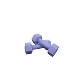 Mrt 1 Kg X2 Adet MİNİ Plastik Dambıl LİLA