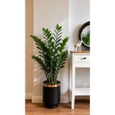 MSP Metal Saksı, Mat Siyah ve Altın Detaylı Kenar, Modern Stil, Silindirik, Iç Mekan, 23X21 cm No:25